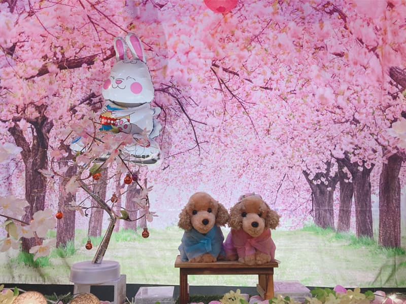2025年 さくらいっぱいの春♪