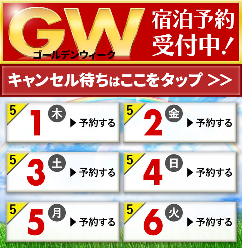ARROW ZXー10r 張る