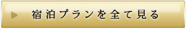宿泊プランを全て見る