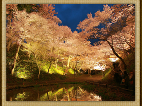高遠城址公園